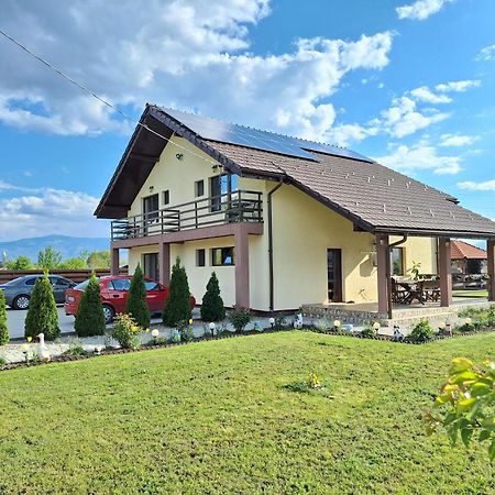 Pensiunea Daria Haţeg Exterior foto