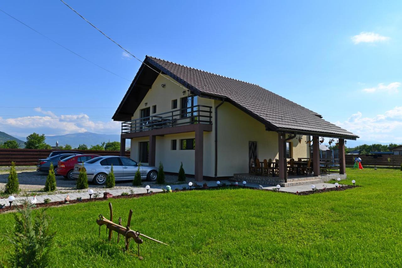 Pensiunea Daria Haţeg Exterior foto