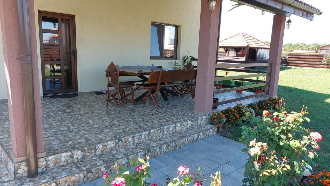 Pensiunea Daria Haţeg Exterior foto