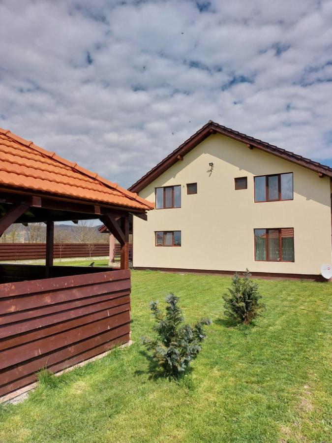 Pensiunea Daria Haţeg Exterior foto