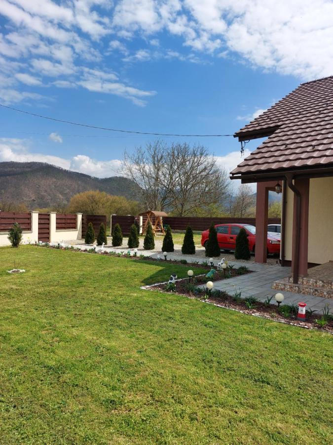 Pensiunea Daria Haţeg Exterior foto