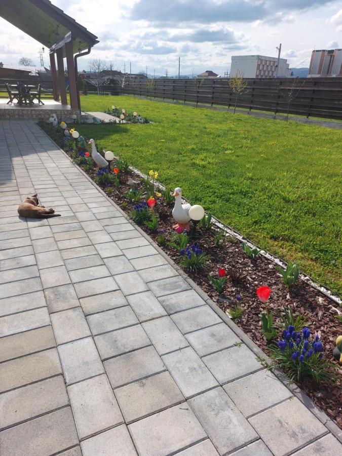 Pensiunea Daria Haţeg Exterior foto