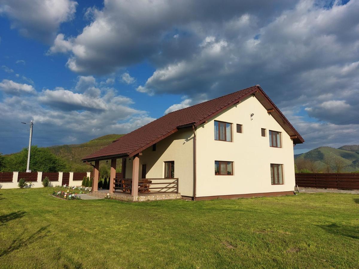 Pensiunea Daria Haţeg Exterior foto