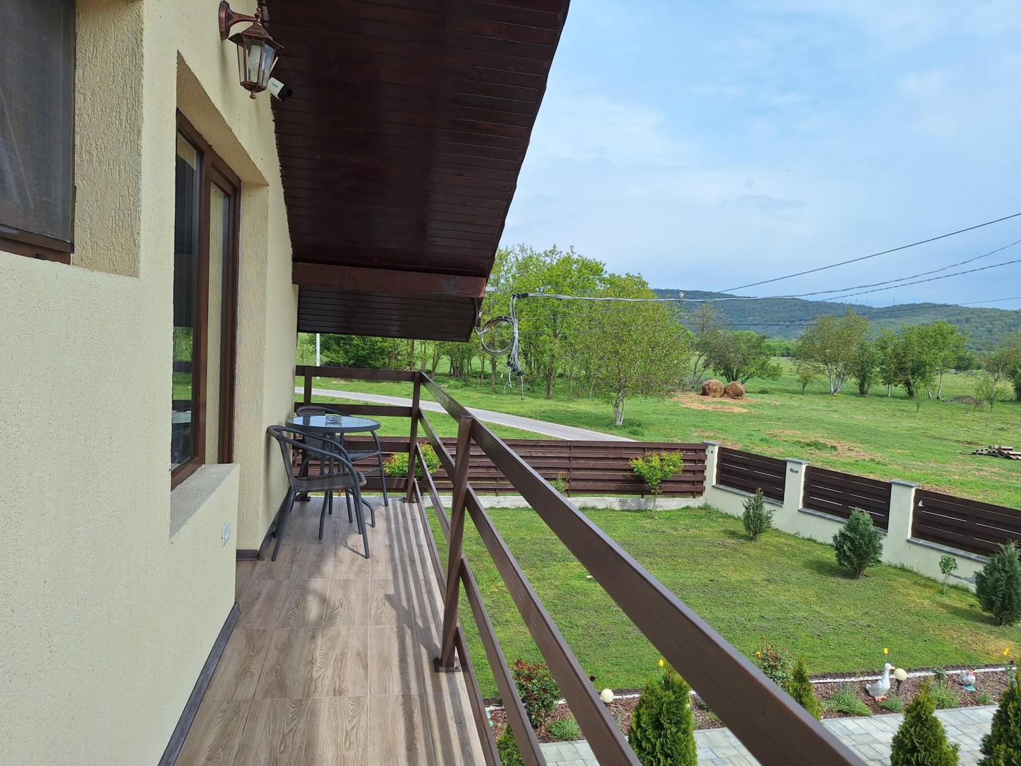 Pensiunea Daria Haţeg Exterior foto